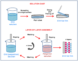 *untuk 15 pemenang *jika tembus 5k tahun ini, maaf jika banyak kekurangan dalam video ini semoga kedepannya bisa mengubah kekurangannya sedikit demi. Molecules Free Full Text Ionotropic Gelation Of Chitosan Flat Structures And Potential Applications Html