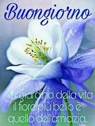 Pin Di Alessandra Segala Su Buon Giorno Buongiorno Buona Giornata Buongiorno Immagini