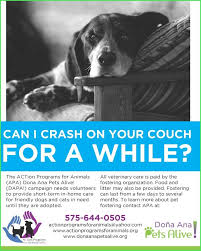 Apa S Dapa Campaign Animal Fundraising Animal Advocacy The Fosters