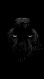 Black Panther Wallpaper 4k Iphone 3d Wallpapers Animal Wallpaper Black Wallpaper Black Panther Hd Wallpaper Star wars 4k wallpapers collection is updated regularly so if you want to include more please send us to publish. black panther wallpaper 4k iphone 3d