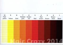 Bleaching Hair Color Level Chart Il Studio Com
