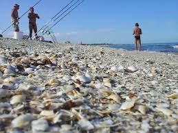 Las partículas que componen una playa suelen estar hechas de roca, como arena, grava, guijarros, guijarros, etc., o de fuentes biológicas, como conchas de moluscos o algas coralinas. Vila Maia O Dupa Amiaza La Pescuit De Chefal La Plaja Corbu Facebook