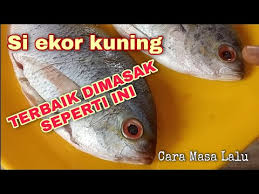 Olahan tahu goreng populer yang disajikan dengan kecap manis. Resep Yang Sudah Melegenda Sejak Dulu Cara Masak Ikan Ekor Kuning Ikan Ekor Kuning Bumbu Acar Youtube