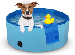 If your dog is nervous to take a bath, attach a leash to him. Best Dog Bathing Tub 2021