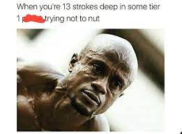 Also The Face You Pull 3 Days In To No Nut November And You Re Stood Behind Your Homie In His Grey Joggers Deadlifting Happy Remembrance Day To All Those A