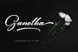 These type of fonts are usually used for formal occasions such as wedding invitation, formal dinner parties, scrapbooks, etc. Ganetha Elegant Script Font By Grezline Studio Thehungryjpeg Com