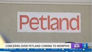Thanks so much for a wonderful experience in purchasing our puppy. Animal Advocates Upset Over Petland Opening In Memphis Localmemphis Com