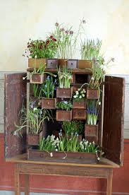 Cupboard Plants Mini Garden Modern Garden Design