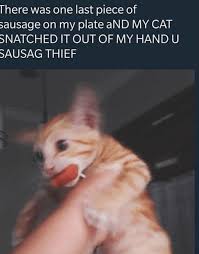 The domain name caturday.com was registered on april 30, 2005. Ain T No Party Like A Caturday Party Because A Caturday Party Is Filled With 18 Hour Naps 20 Memes I Can Has Cheezburger
