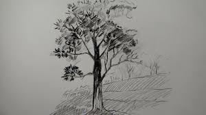 Hopefully you will gain some tips. How To Draw A Tree Using Pencil A Simple Tree Youtube