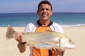 Estruturas férteis que correspondem a folhas modif. Peixes De Agua Salgada Portal Pesca Amadora Esportiva