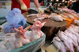 The latest news in nigeria and world news. South Korea Confirms H5n8 Bird Flu In Wild Birds Issues Warning Abs Cbn News