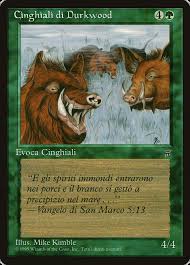 Un cinghiale femmina del peso di oltre cinquanta chilogrammi, ferito da una fucilata alla coscia posteriore sinistra e finito in mare durante la sua fuga dalla collina, è stato tratto in salvo. Cinghiali Di Durkwood Durkwood Boars Legends Leg 182 Scryfall Magic The Gathering Search