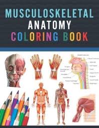 If your child loves interacting. Musculoskeletal Anatomy Coloring Book Musculoskeletal Anatomy Coloring Activity Book For Kids An Entertaining Instructive