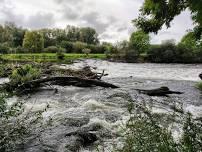 Summit to Stream: Building Watershed Resilience Together