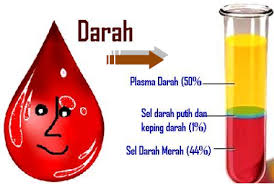 Cliffffy4h dan 307 orang menganggap jawaban . Pengertian Fungsi Dan Kandungan Plasma Darah