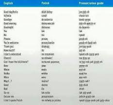 Basic Polish Words Polish Words Learn Polish Polish Language