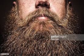 599 490 Beard Photos And Premium High Res Pictures Getty Images