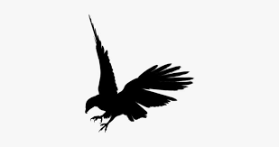 #arab #beautiful #color #design #landmark #map #plan #planner #print #amazing #art #colorful #colors #create #creation Background Tumblr Black And White Bird Eagle Silhouette Png Image Transparent Png Free Download On Seekpng