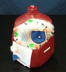 How to make an animal cell model out of paper mache. 43 Cells Project Ideas Cells Project Cell Model Animal Cell Project