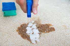How To Stop Your Dog Peeing Or Pooping On A Carpet Spot Best Carpet Extractor Cleaner Reviews 2021