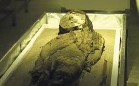 We did not find results for: Momias Chinchorro Cultura De La Eternidad Arte Por Excelencias