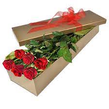 A great new way to deal direct with local florists all across both islands new zealand. Australia Flower Delivery Send Flowers From Florists In Australia