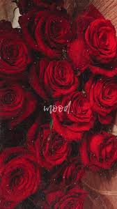 uploaded by zarina find images and videos on we heart it the app to get lost in what you love flower iphone wallpaper rose wallpaper flower phone wallpaper