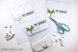 Maybe you would like to learn more about one of these? Sprouting A Seed Bag Topper Printable Prekinders