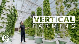 There are many types of hydroponic gardening systems, and some systems are more complex than others. Next Gen Farming Without Soil And 90 Less Water Grateful Youtube