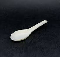 Bagasse Small Chinese Spoon | A&W International Co., Ltd.