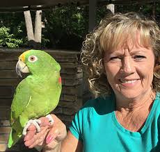 All About the Parrots at the Bird Gardens of Naples