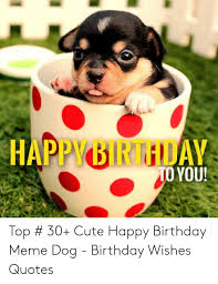 This may sound a bit extra to some, but my dog's birthday would have been incomplete if i had not announced it to the whole world. Happybirthday To You Top 30 Cute Happy Birthday Meme Dog Birthday Wishes Quotes Birthday Meme On Me Me