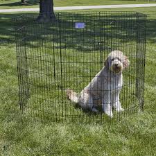 Depending on the size of your yard, an electronic pet containment system can be installed in a day, and training your dog can be accomplished within a week. Cheap Dog Fences The Best Affordable Fencing For Dogs