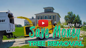 It sounds like the easiest way would be to use the chemical stump to get rid of a tree stump using stump removal chemicals, first cut it as close to the ground as possible. 2021 Price Guide For Tree Removal Brisbane New Guide