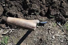 We did not find results for: Top Ten Plants That Thrive In Alkaline Soil Polytunnel Gardening