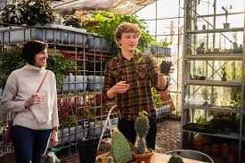 These are the common methods to propagate a as natural habitats of succulents and cacti decline, the need to propagate and maintain these species in cultivation becomes more and more crucial for. T Cut Paste Cacti Mediamatic
