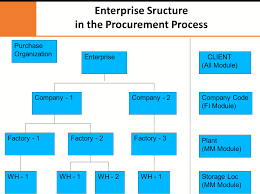 Sap Mm Organizational Structure In Sap Procurement Process