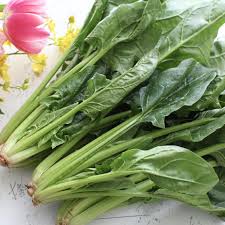 ほうれん草の栄養を解説 含まれる栄養成分と 栄養効果の高い食べ方 やまでら くみこ のレシピ