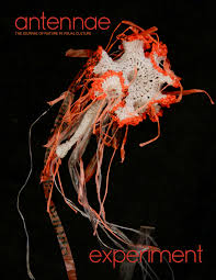 THE JOURNAL OF NATURE IN VISUAL CULTURE