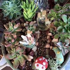 Check spelling or type a new query. Violet S Dish Garden Succulents Cactus Air Plant And Jade Plants Home Facebook