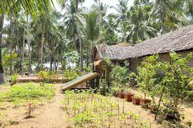 Many ayurvedic treatment centers in kerala have qualified doctors and therapists that make these centers authentic and reputed. Discovering Ayurveda In Kerala Through Unique Ayurvedic Experiences Brogan Abroad