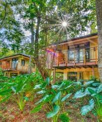 Bodhi Tree Yoga Resort Green Resort Yoga Resorts Bodhi Tree