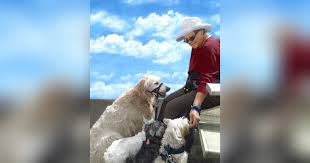 Obituary for Emily (Ellis) Ellis-Dyer