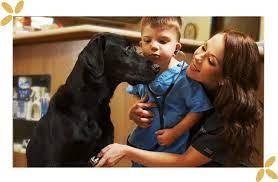 User is able to track down the route in background mode also. Veterinarian In Webster Tx Animal Hospital In Webster Tx