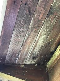 Image result for site:byggahus.se påväxt