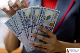 1 2 10 100 đo La Mỹ Bằng Bao Nhieu Tiền Việt Nam 2020 Usd To Vnd