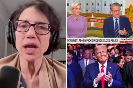 MSNBC contributor trashes network, 'Morning Joe' colleagues over Trump  meeting