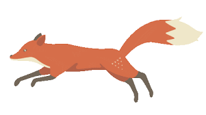 Quinn The Fox Gifs Find Share On Giphy