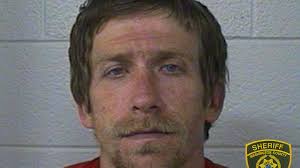 Kingsport man arrested, accused of fleeing from deputies